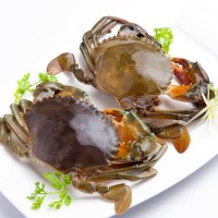 Cua Cà Mau và cách phân loại cua