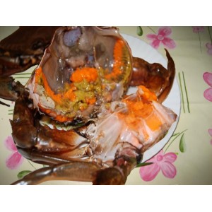 Cua Gạch