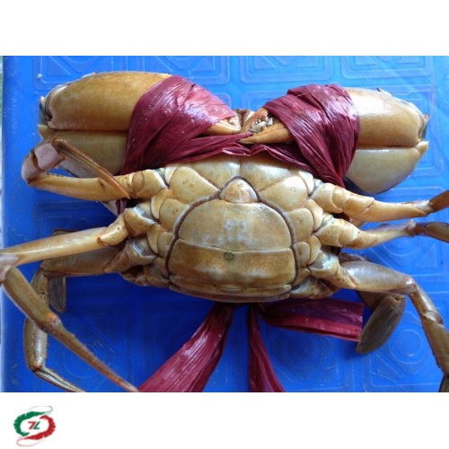Cua Yếm Vuông