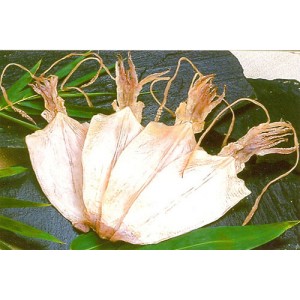 Khô mực loại 2