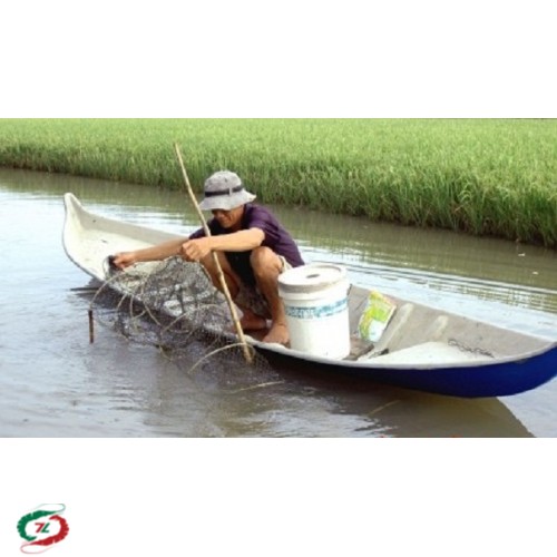 Tôm Sú Cà Mau loại 30 con/ Kg