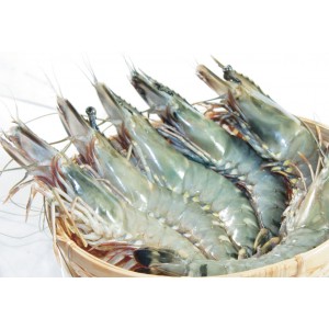 Tôm Sú Cà Mau loại 30 con/ Kg