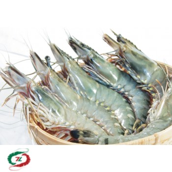 Tôm Sú Cà Mau loại 30 con/ Kg