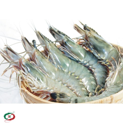 Tôm Sú Cà Mau loại 30 con/ Kg