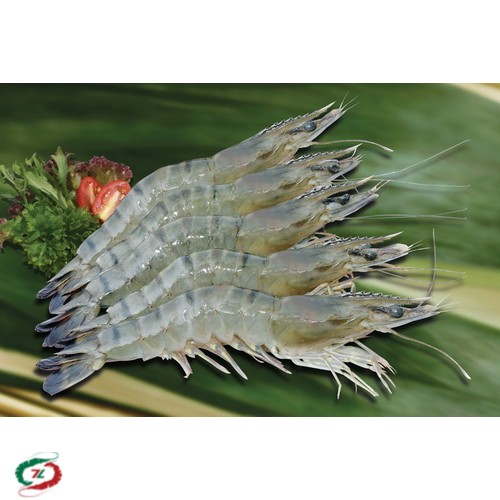 Tôm Sú Cà Mau loại 40 con/ Kg
