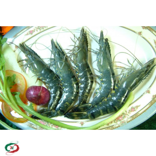 Tôm Sú Cà Mau loại 40 con/ Kg